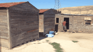 Informal wendy houses for Devon Valley homeless